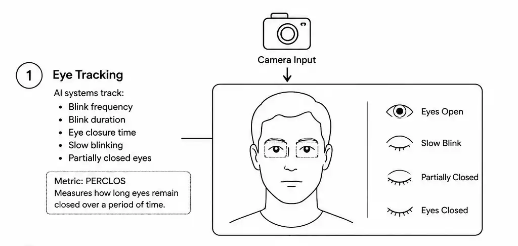 Eye Tracking