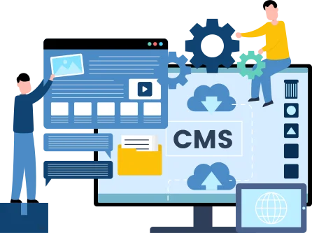 CMS Development